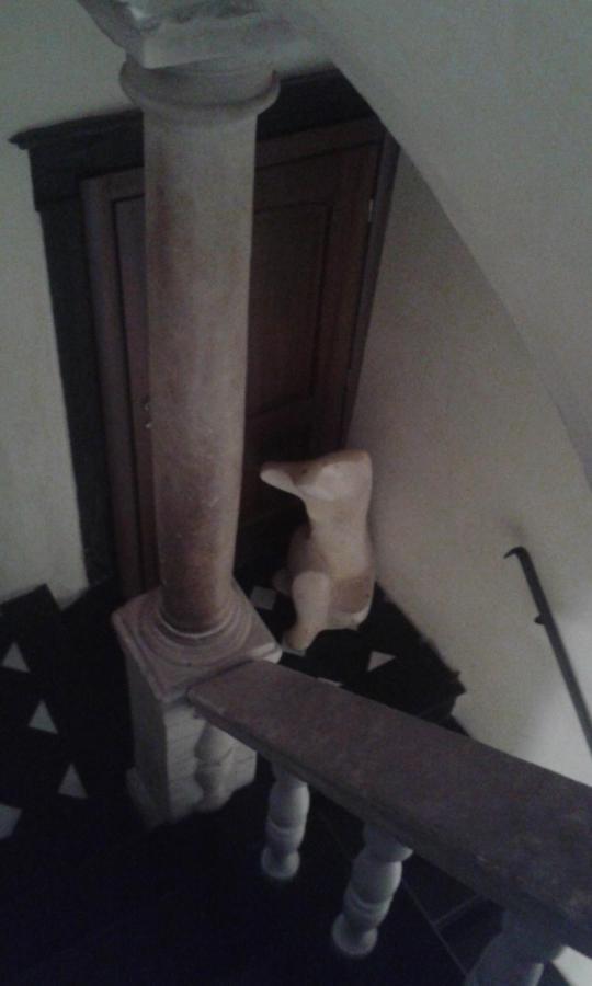 Affittacamere Bed&Breakfast San Lorenzo Genova Esterno foto